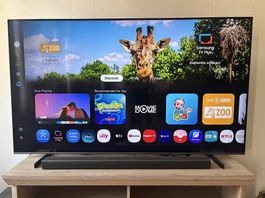Samsung 65 QLED 4K Smart TV (QE65Q67CA)  Wie neu