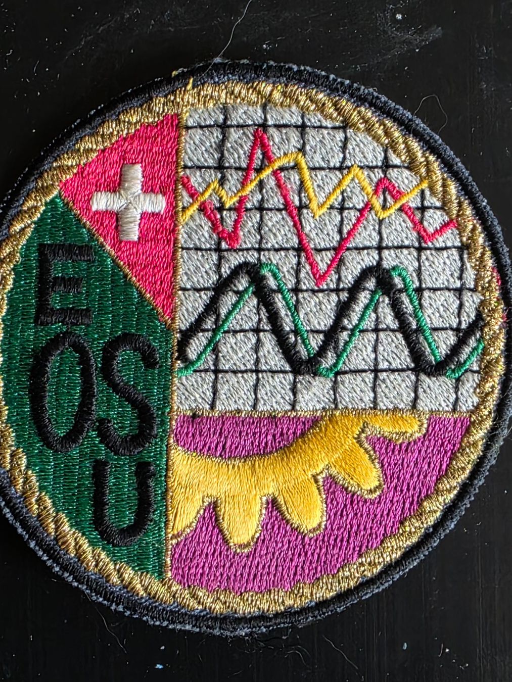 Schweizer Armee Placchette & Badge: École d'officier – Usato da Nyon venduto da freetoys08