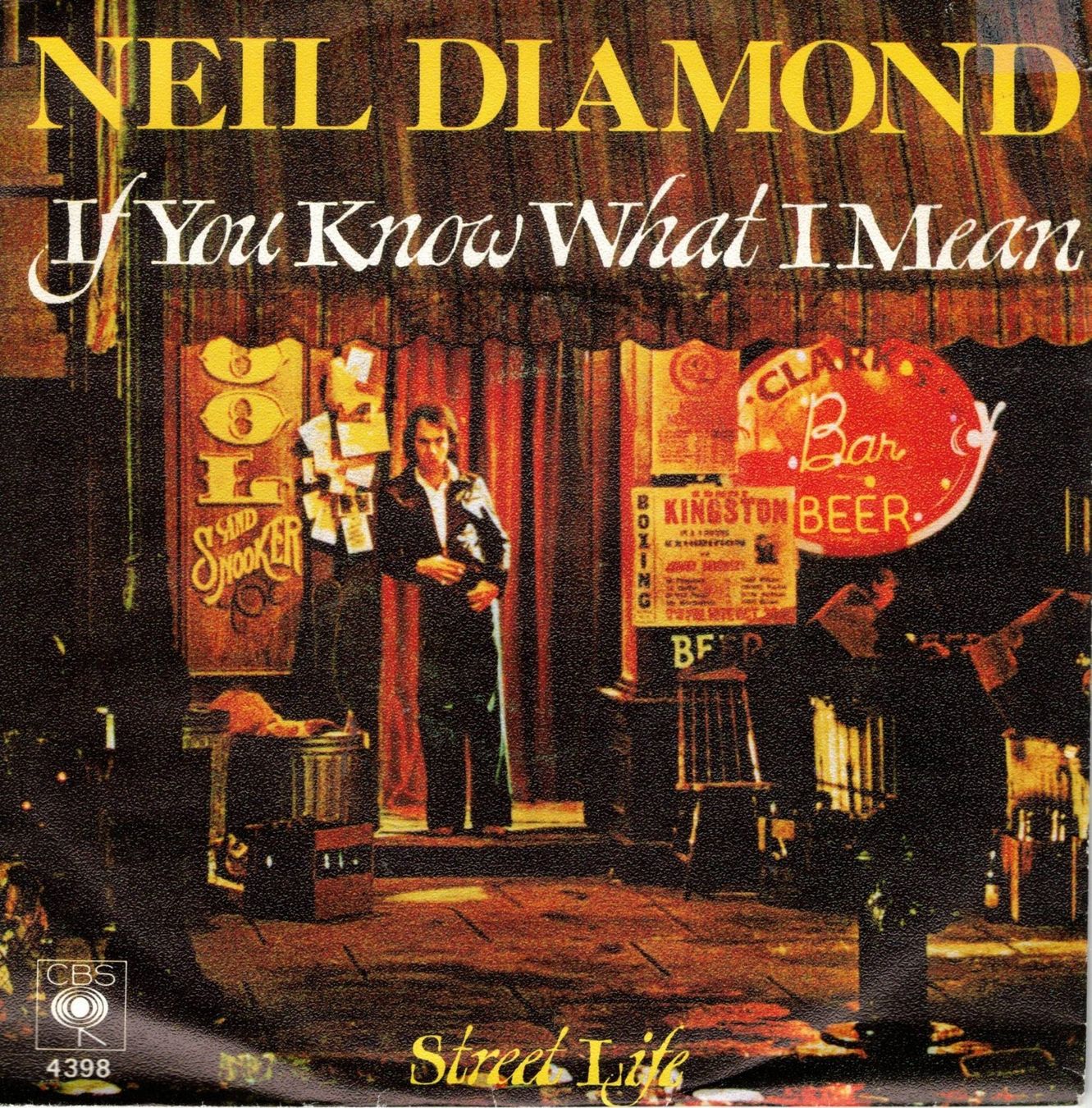 Dischi in vinile: Single7  Neil Diamond  --  If you know what i mean – Usato da Rheinau venduto da asteng