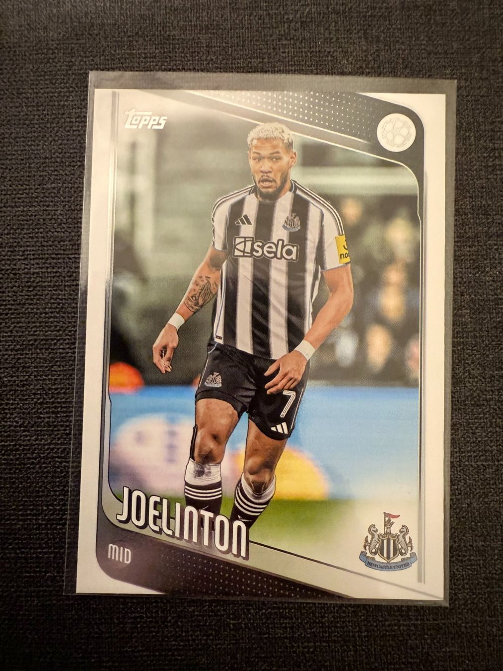Topps Carte collezionabili: Topps Joelinton Newcastle United – Usato da Burgdorf venduto da Sports_Cards_3400