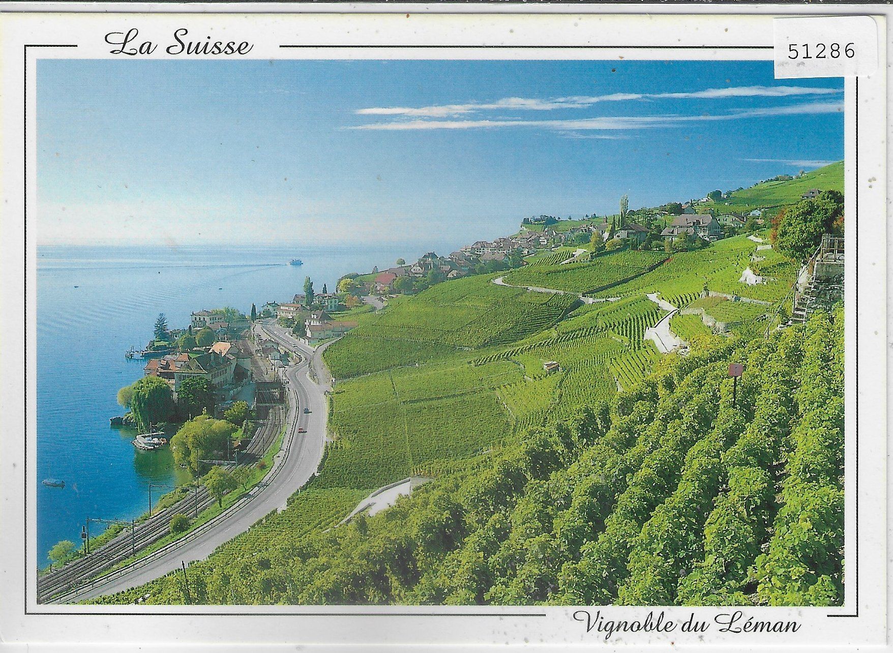 Cartes postales: Vignoble du Leman – D'occasion à Ettingen par Kartenplanet