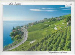 Vignoble du Leman