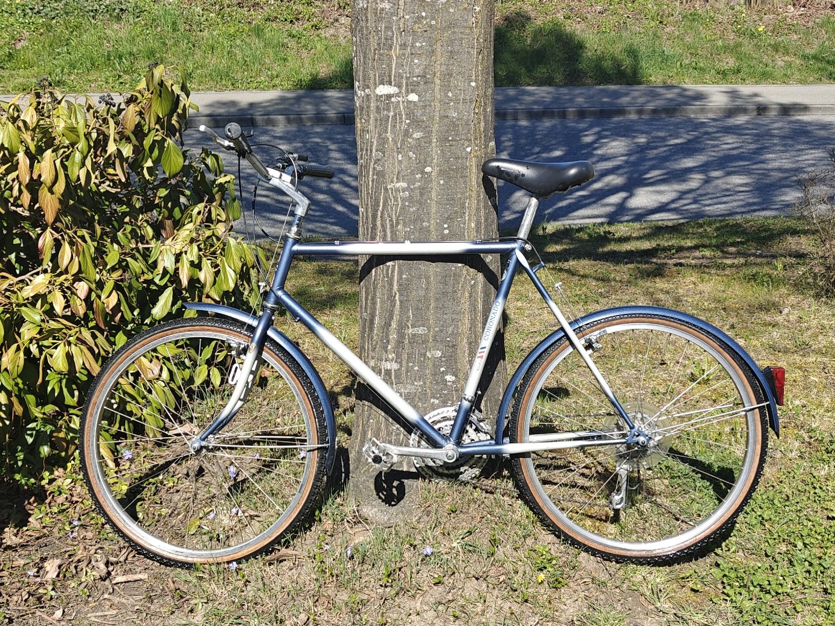 Biciclette: Velo Coronado vintage MTB – Usato da Sempach venduto da sam_z6d2 3