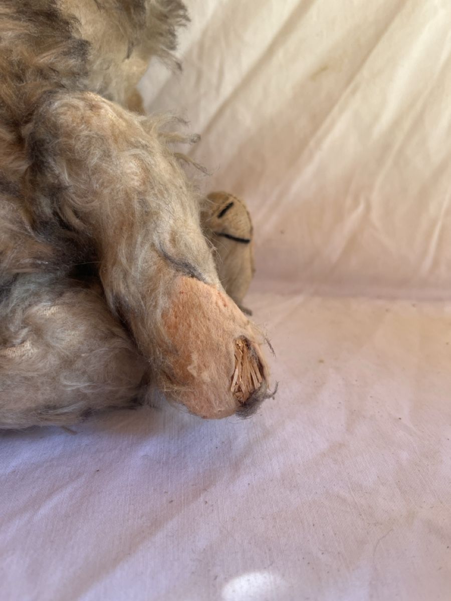 Spielzeuge: Antiker Teddybär 🧸  – Gebraucht aus Brienz BE von hey_z9vg 5