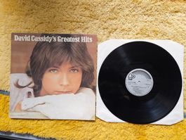 David Cassidy Schallplatte Lp - Greatest Hits