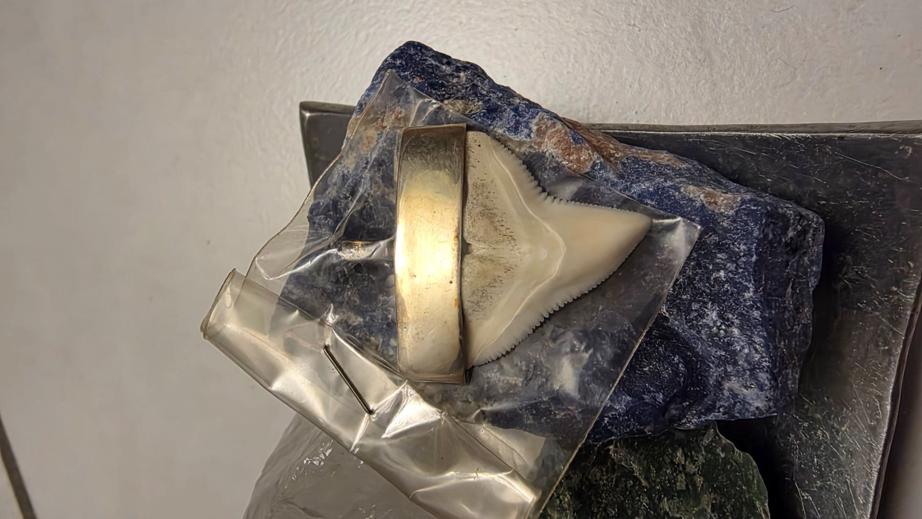 Ciondoli: Echter Haifischzahn in Silber gefasst – Nuovo e nell'imballaggio originale da Fislisbach venduto da Eye-Arts 2