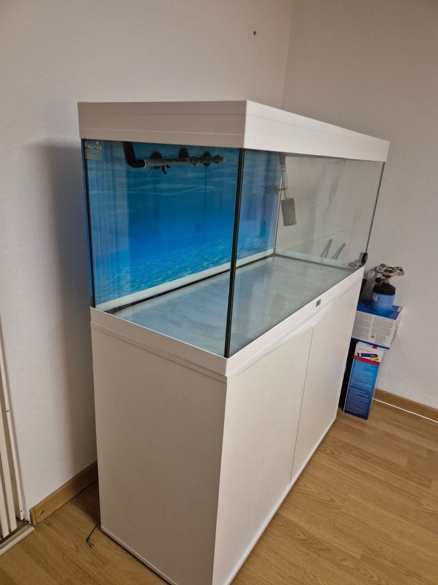 Wunderbar Aquarium Gebraucht Kaufen Ebenbild