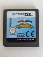 Mario & Sonic Olympic Winter Games Nintendo DS