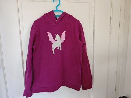 Hoodie von Zoolaboo, passt bei 146/152 
