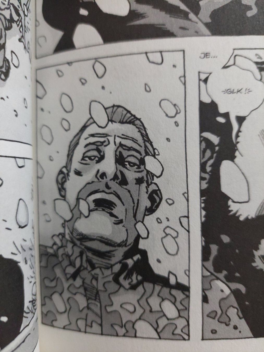 Comics: Walking Dead T.14 Piégés ! EO 2011 TBE – Gebraucht aus Genève von Blu_BD 3