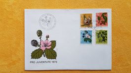 FDC - Pro Juventute Beeren  - Schweiz 1973