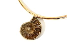 Ammonite Fossil Pendant Necklace