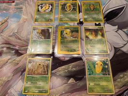 1999-2010 POKEMON Kokuna Vintage Sammlung mit Skyridge RH