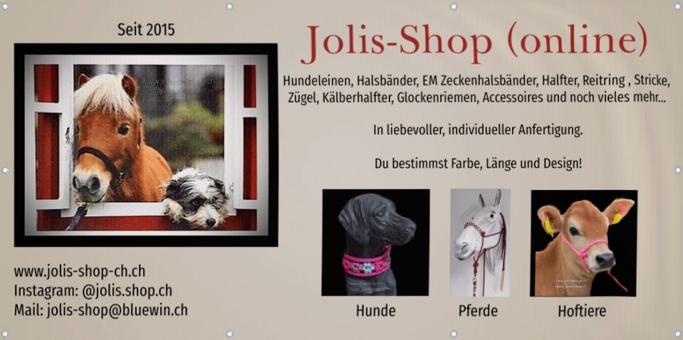 Brides, licols: Pferdestrick / Ponystrick (NEU) – Neuf avec emballage d'origine à Ueken par jolis-shop 9