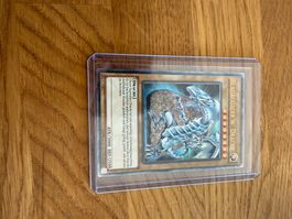Blauäugiger w. Drache, YSKR-DE001