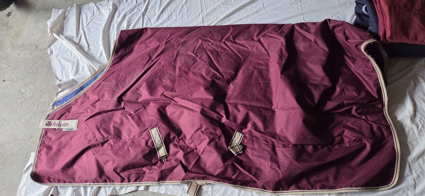 Coperte: Bucas – Nuovo (secondo la descrizione) da Zetzwil venduto da Rose050 1