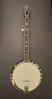 Banjo Recording King RK-R80