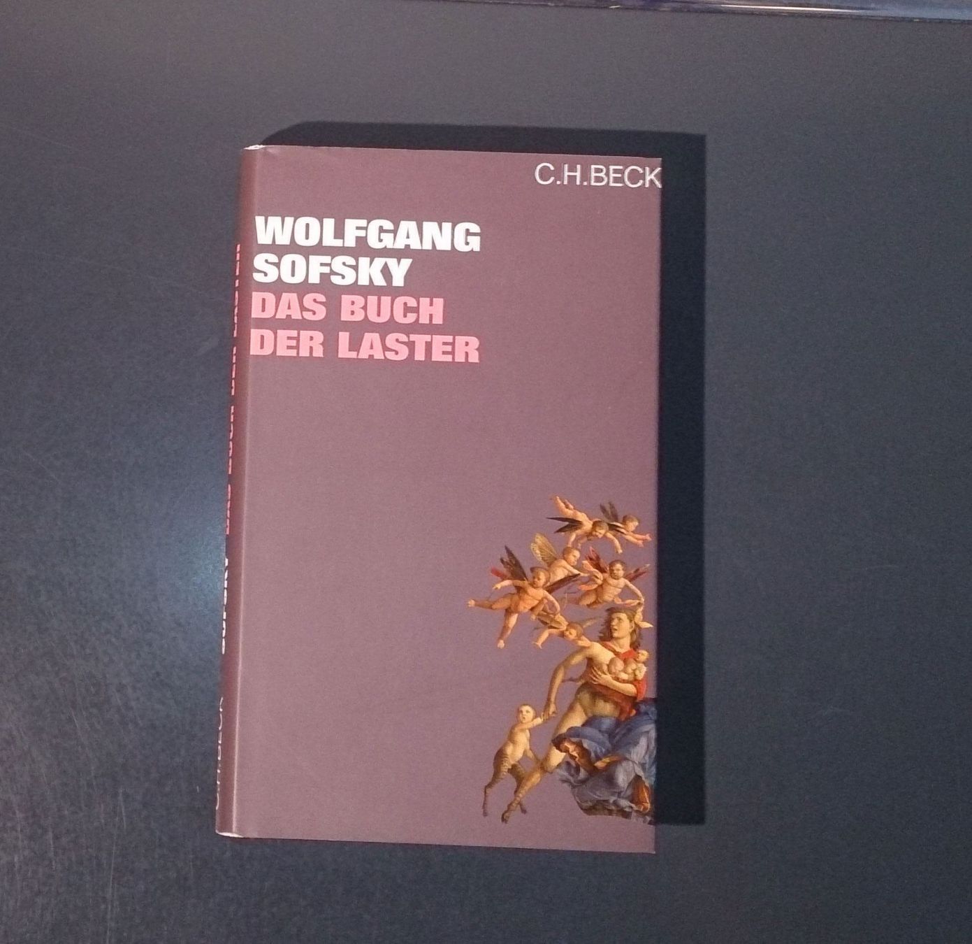 Bücher: Das Buch der Laster – Gebraucht aus Dübendorf von Povo 1