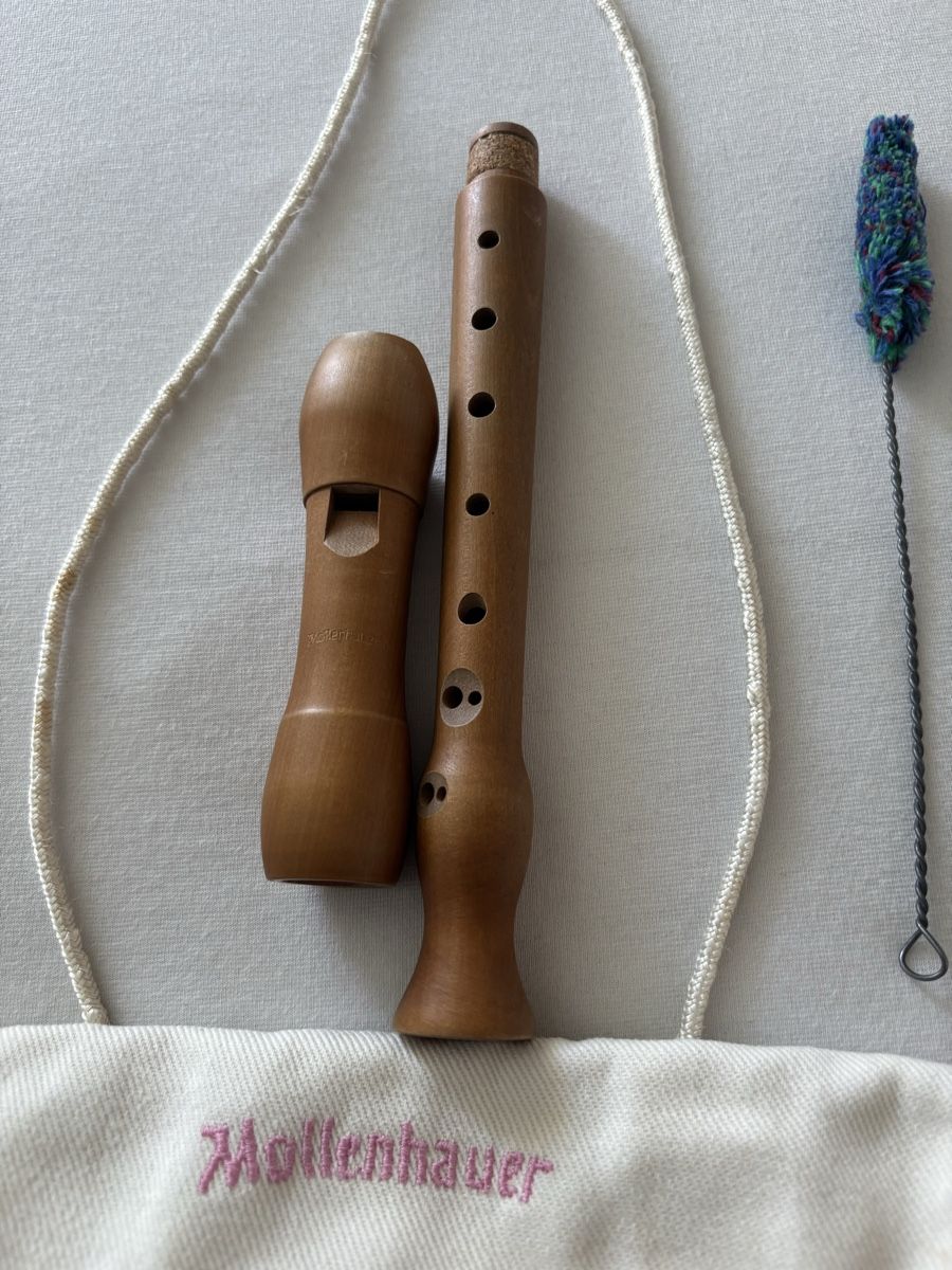 Strumenti musicali: Mollenhauer Holzblockflöte mit Etui – Usato da Urdorf venduto da rosenkohl01