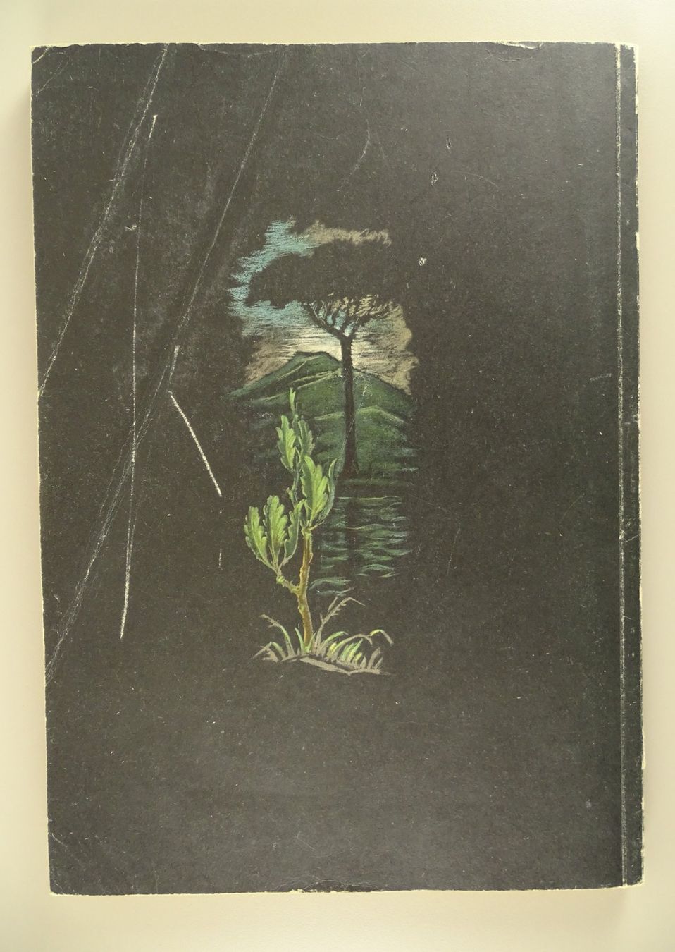 Libri: ILLUSTRIRTE ZEITUNG LEIPZIG SONDERAUSGABE 1944 – Usato da Grüningen venduto da Kartensammler 5