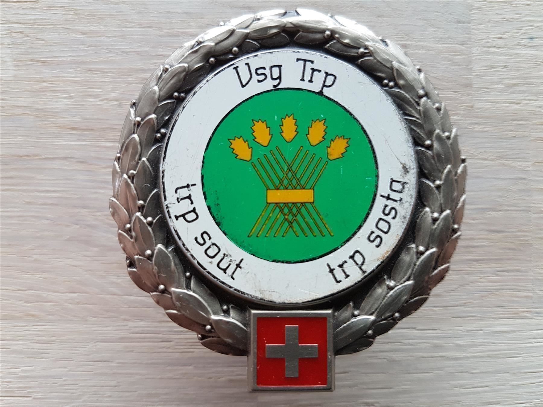 Placchette & Badge: Béret Emblem Vsg Trp Versorgungsschule – Usato da Erlinsbach venduto da S700
