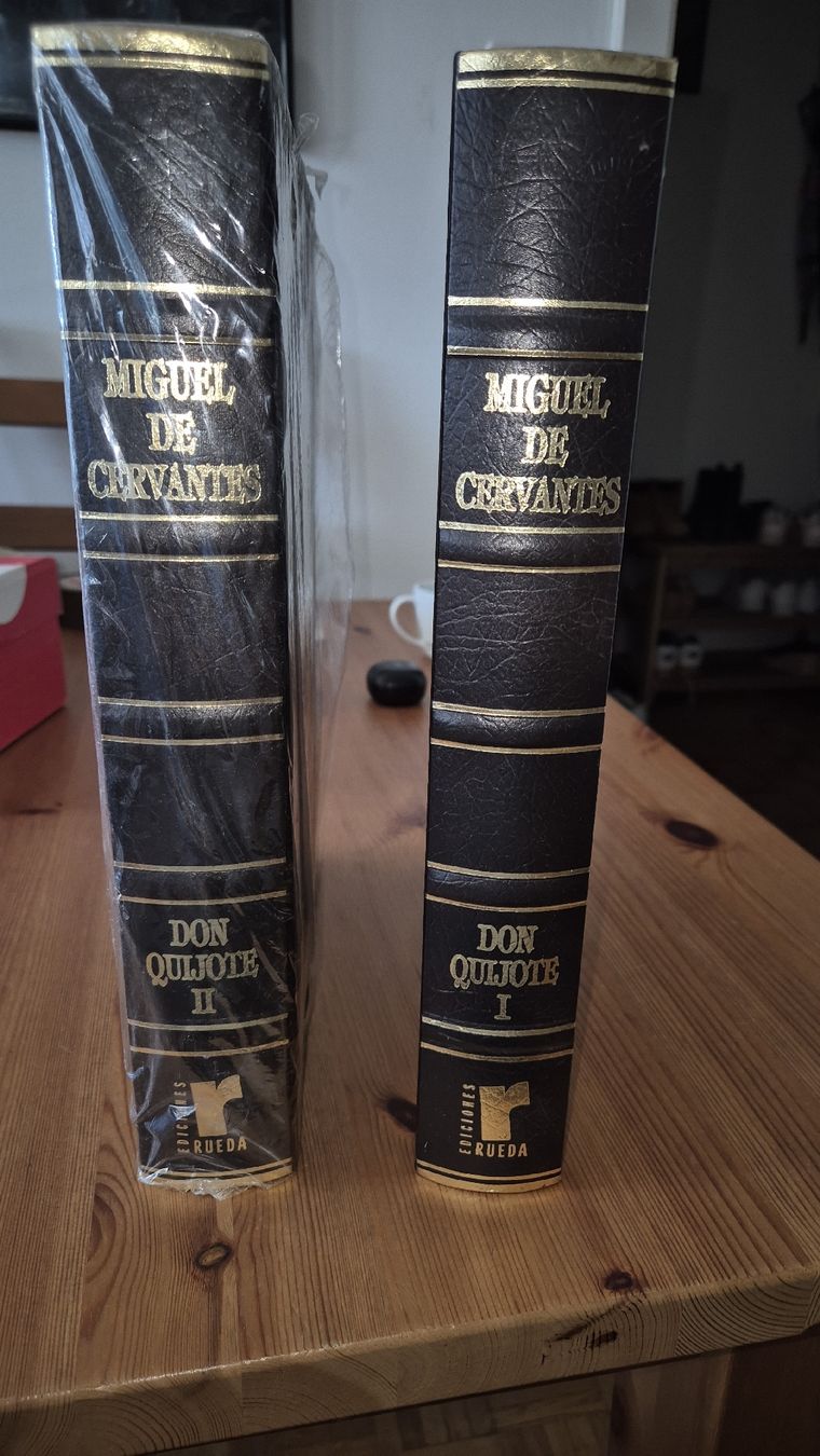 Libri: 2 Bänder Don Quijote auf Spanisch – Nuovo e nell'imballaggio originale da Jona venduto da paco1969 1
