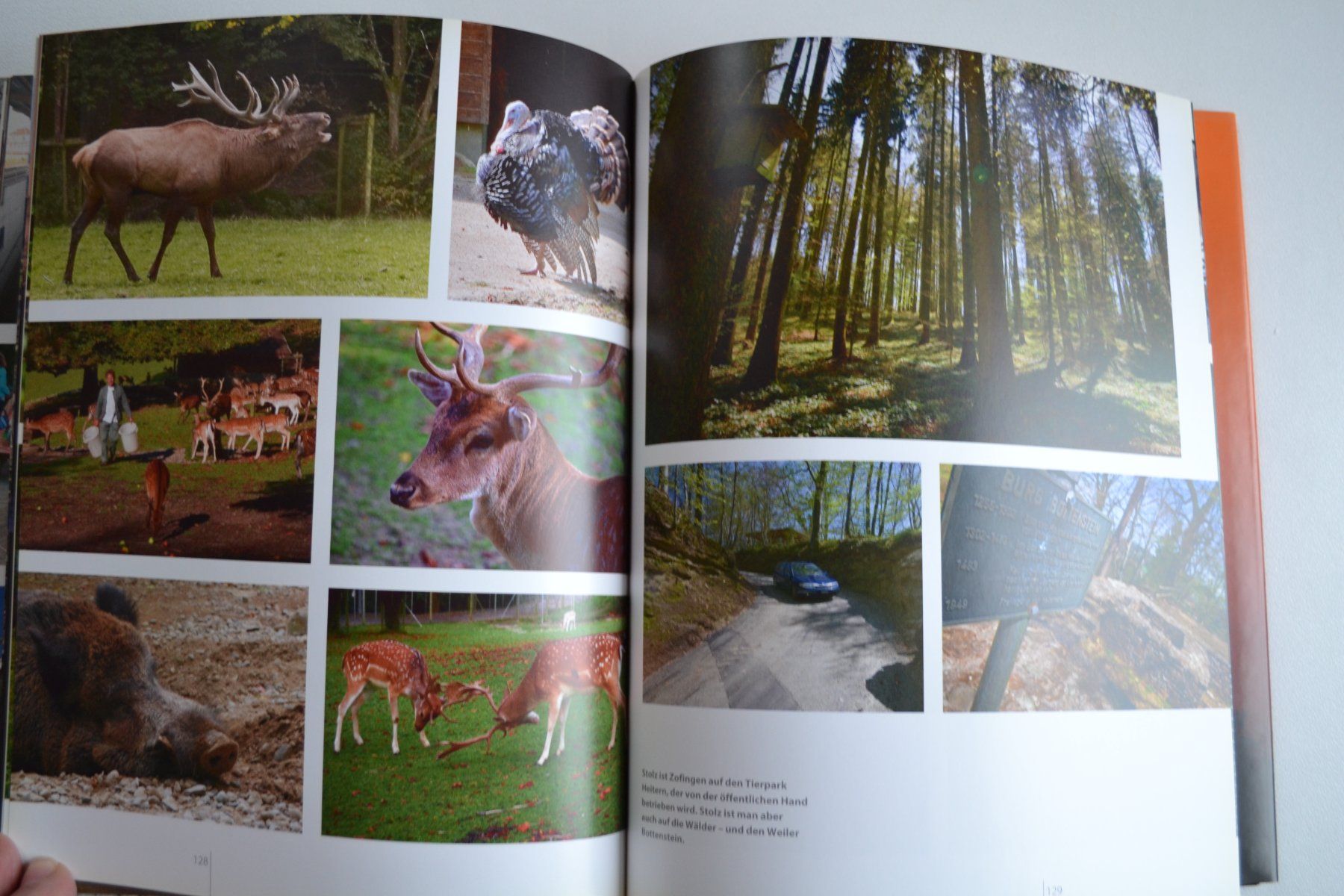 Libri: Bilderbuch Zofingen – Usato da Beinwil am See venduto da kajak55 8