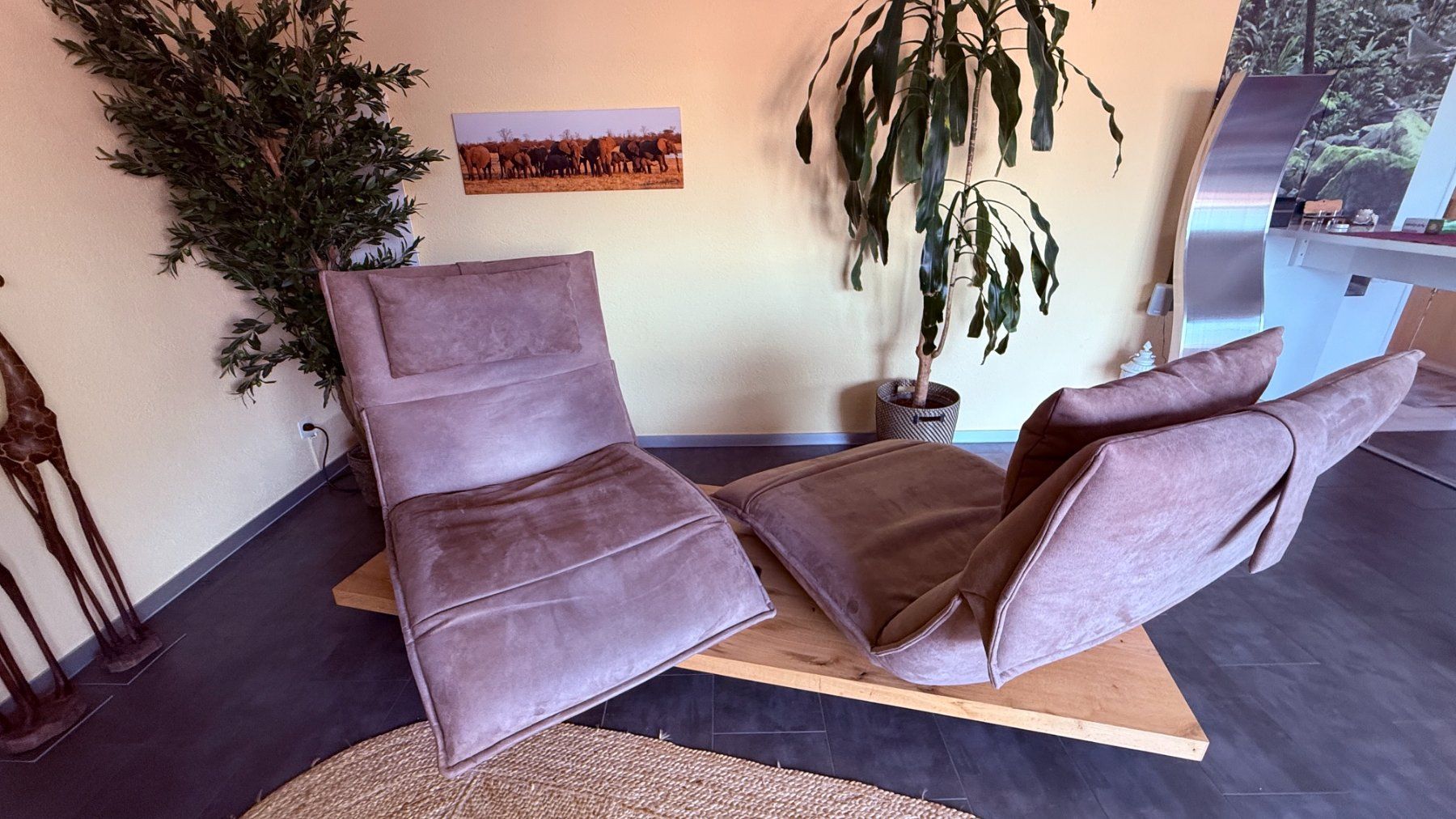 Koinor Sofas: 2er Designer-Sofa von Koinor,  mit Eichensockel – Gebraucht aus Gümligen von caesar07 2