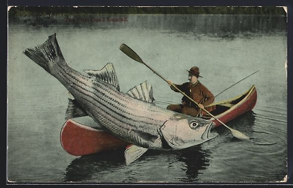 Cartoline postali: Riesiger Fisch auf dem Paddelboot eines  – Usato da Berlin venduto da bartko-reher