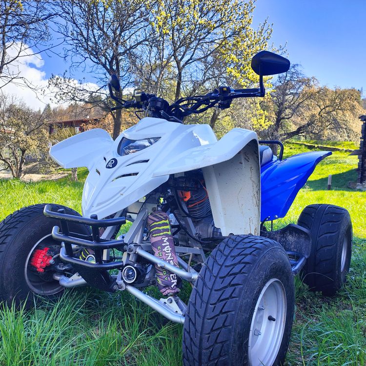 Adly 300 Interceptor | Kaufen auf Ricardo