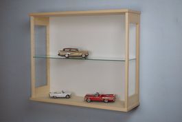 Vitrine für Modellsammler & Modellbauer