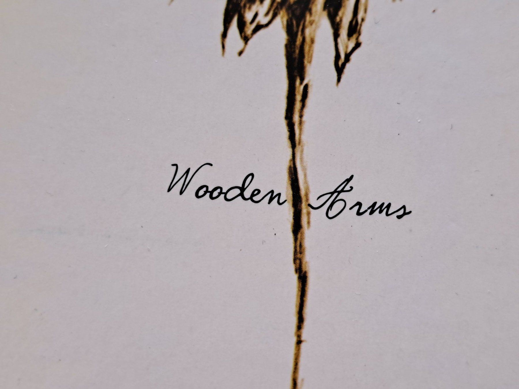 CDs: Cd Patrick Watson - Wooden Arms  – Gebraucht aus Pully von bro_n52j 1