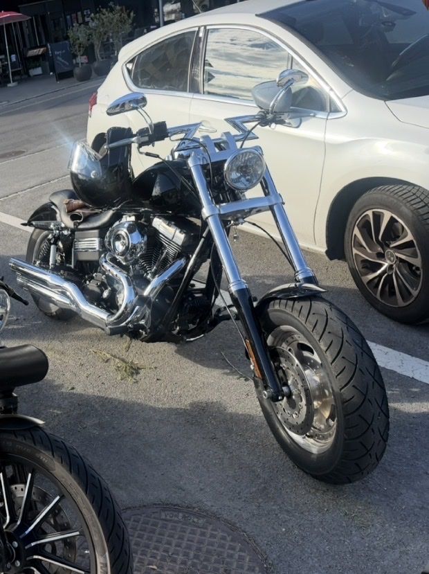 Harley-Davidson Chopper: Harley Davidson letzte Chance! – Usato da Adligenswil venduto da gab_96xz 1