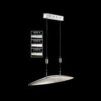LED Pendelleuchte, Oval, Dimmer, 3000 LM