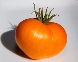 Tomate Fraise orange RARE  5g