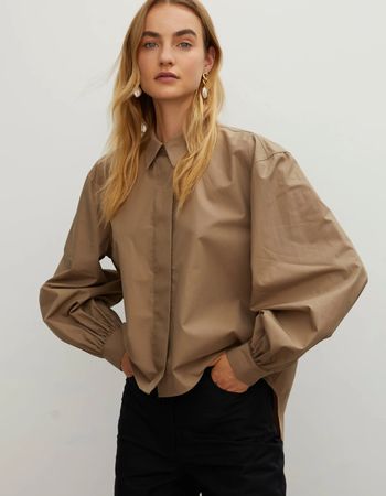Rohe extravagante Bluse 36 braun Baumwolle Kiani langarm
