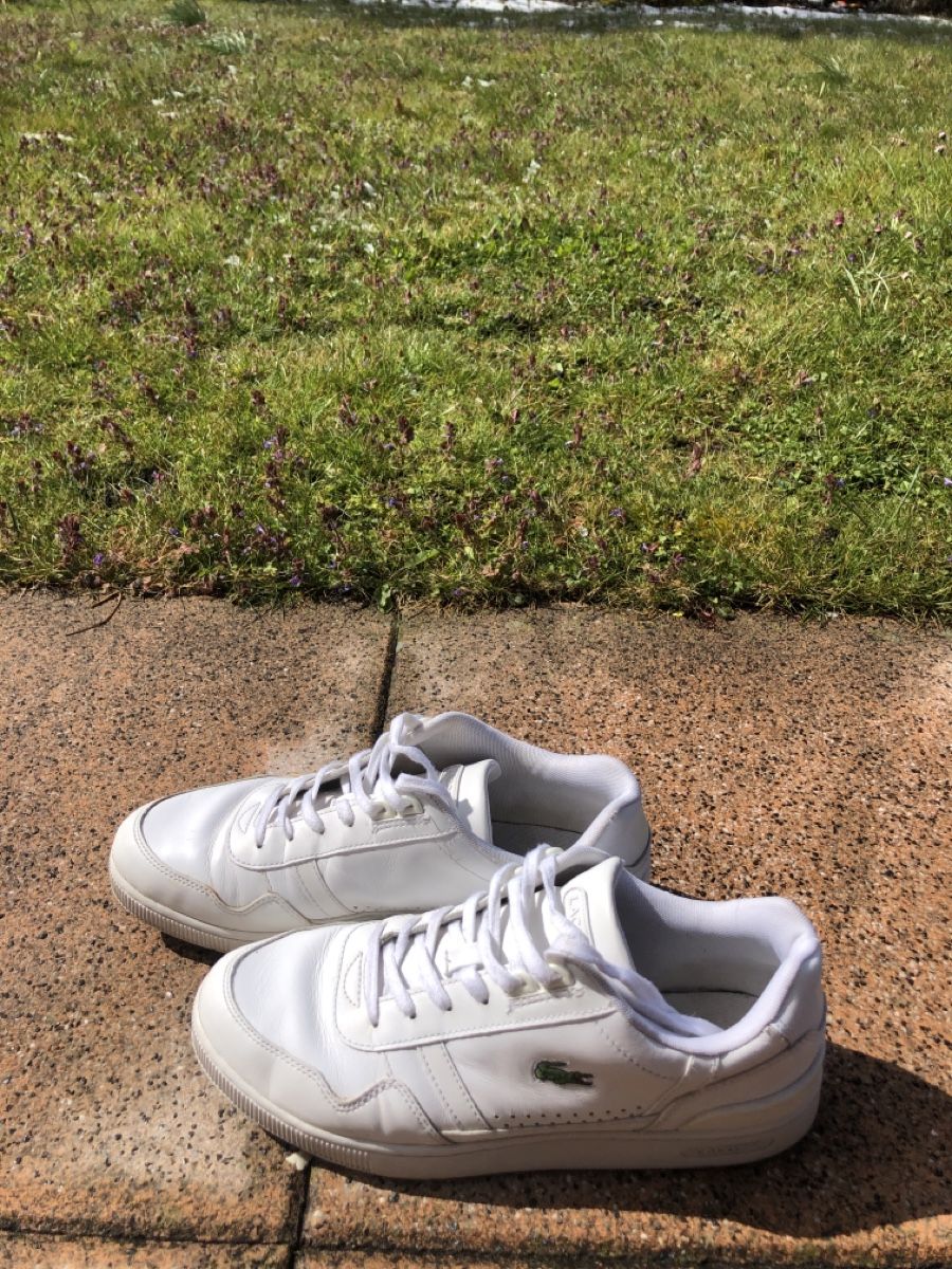 Lacoste Scarpe da uomo: Lacost Schuhe – Usato da Merligen venduto da iTzRafi