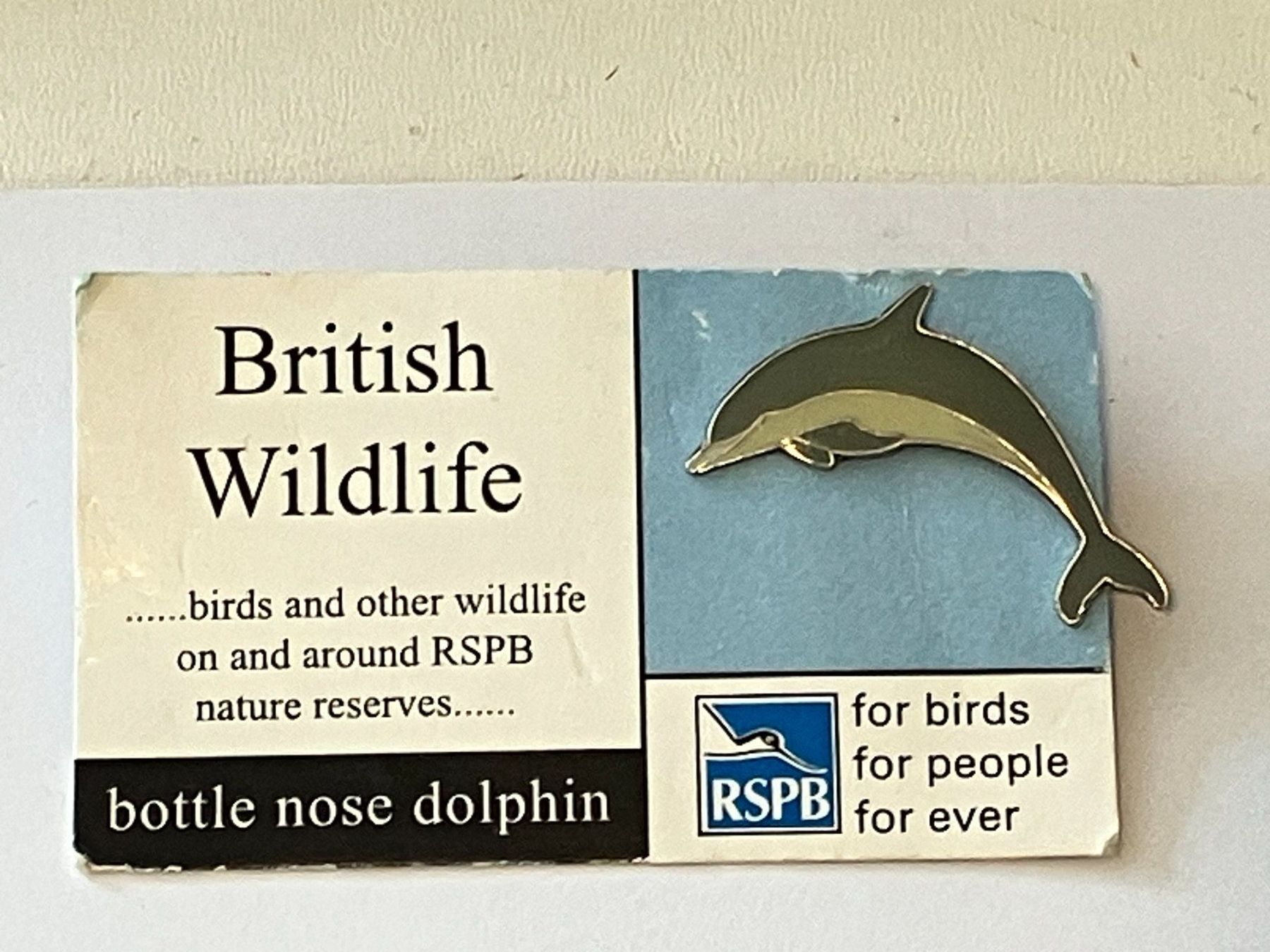 Placchette & Badge: 1 Pin Delphin British Wildlife – Usato da Basel venduto da djwwpp