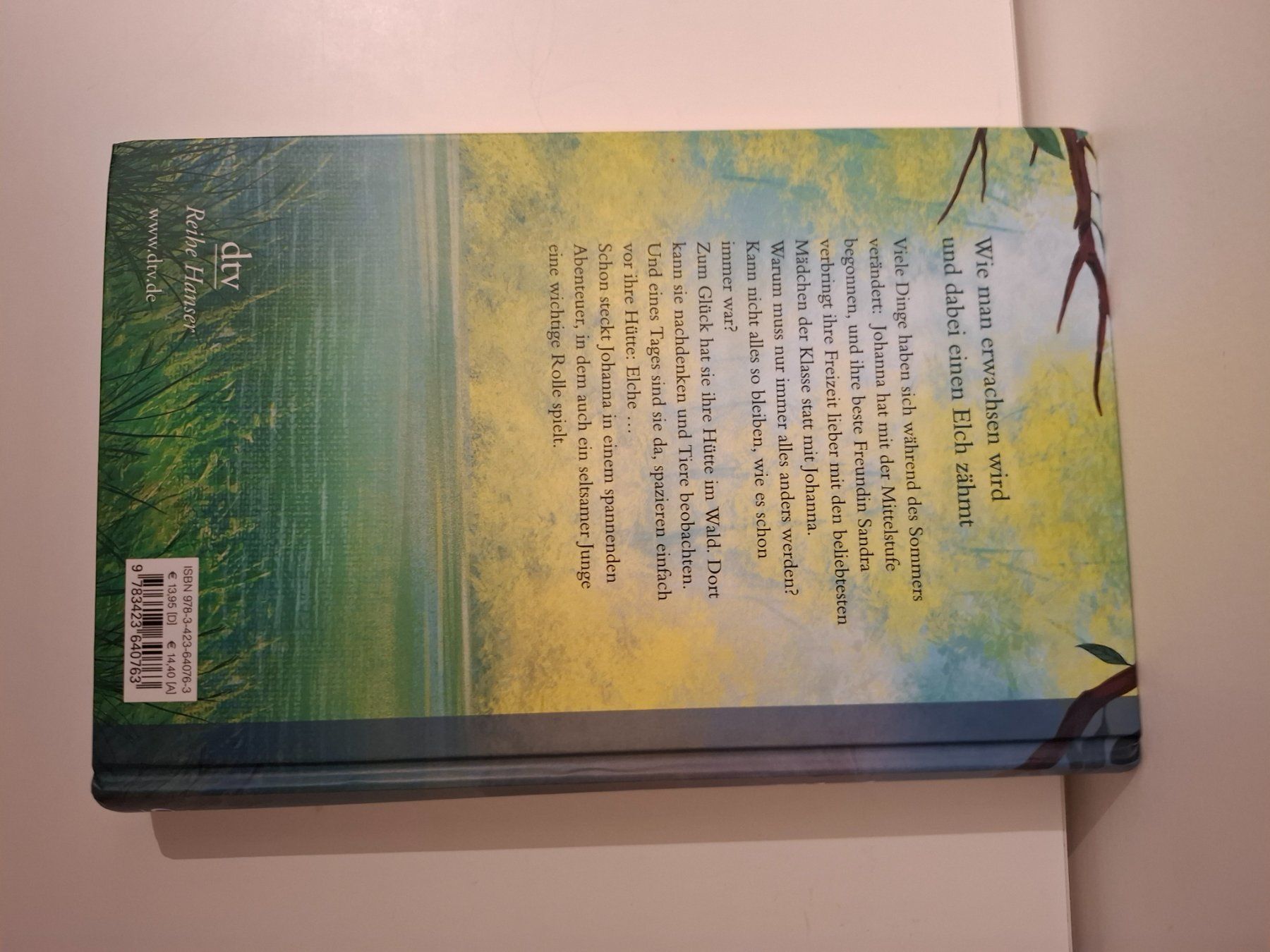 Libri: Deutsche Romane im Bücherpaket – Nuovo (secondo la descrizione) da Küssnacht am Rigi venduto da awalde 4