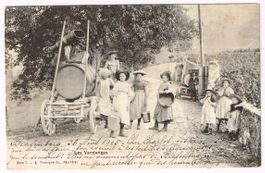 Landwirtschaft/Weinbau/Vendages 1905 mit Fuhre VD/NE?
