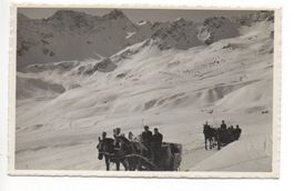 AROSA Schlittenpartie nach Arlenwald
