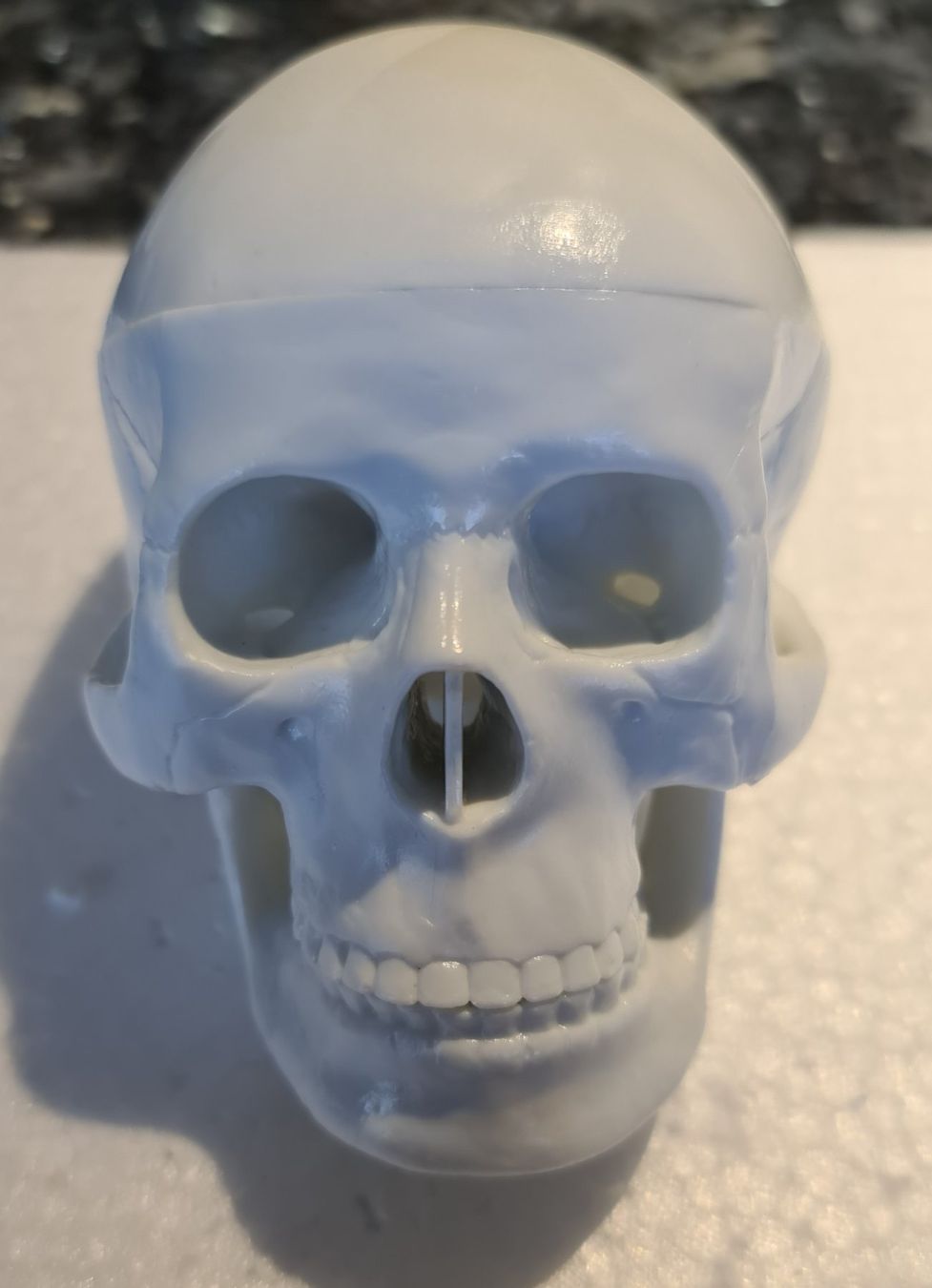 Kit di modellismo & Modellini statici: Schädel Menschlichen Anatomischen Modell – Nuovo e nell'imballaggio originale da Uerkheim venduto da Kaufoption 1