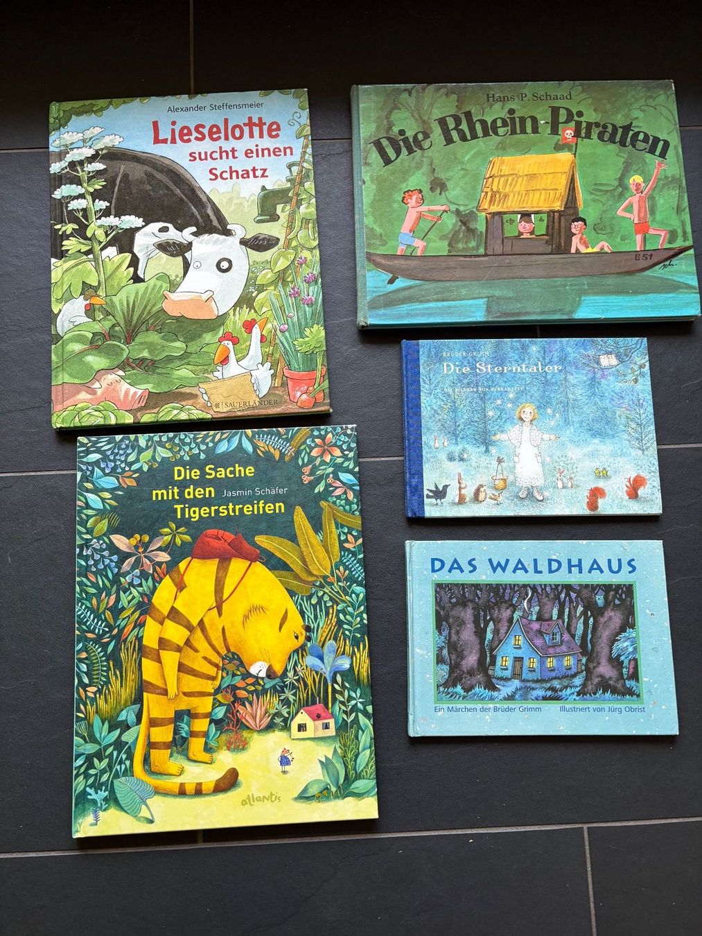 Libri: Bilderbuchpaket  11 Bilderbücher – Usato da Wetzikon ZH venduto da Youna01 1