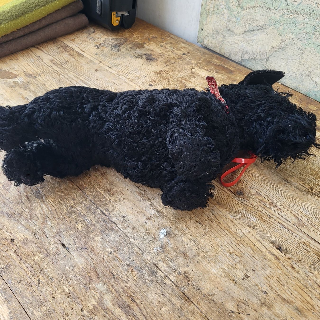 Steiff Giocattoli: Steiff Hund – Usato da Kägiswil venduto da Megafi56 3