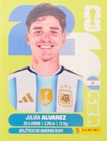 Panini FIFA World Cup ARG 19
