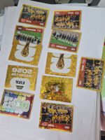 Panini FWC 