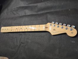 Fender stratocaster Deluxe Hals 
