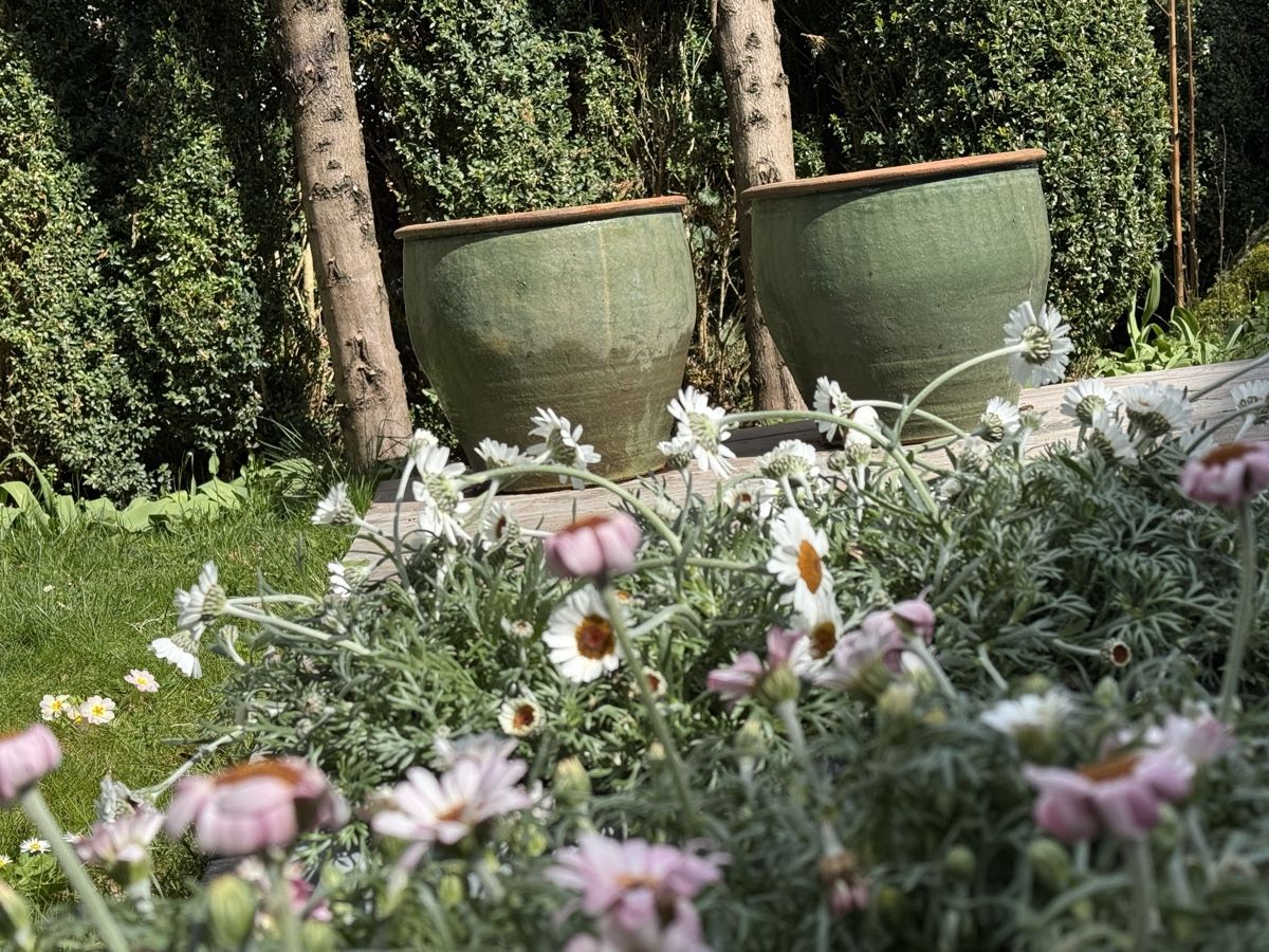 Blumentöpfe: Terracotta Topf, ø45cm – Gebraucht aus Rueschlikon von nomee 1