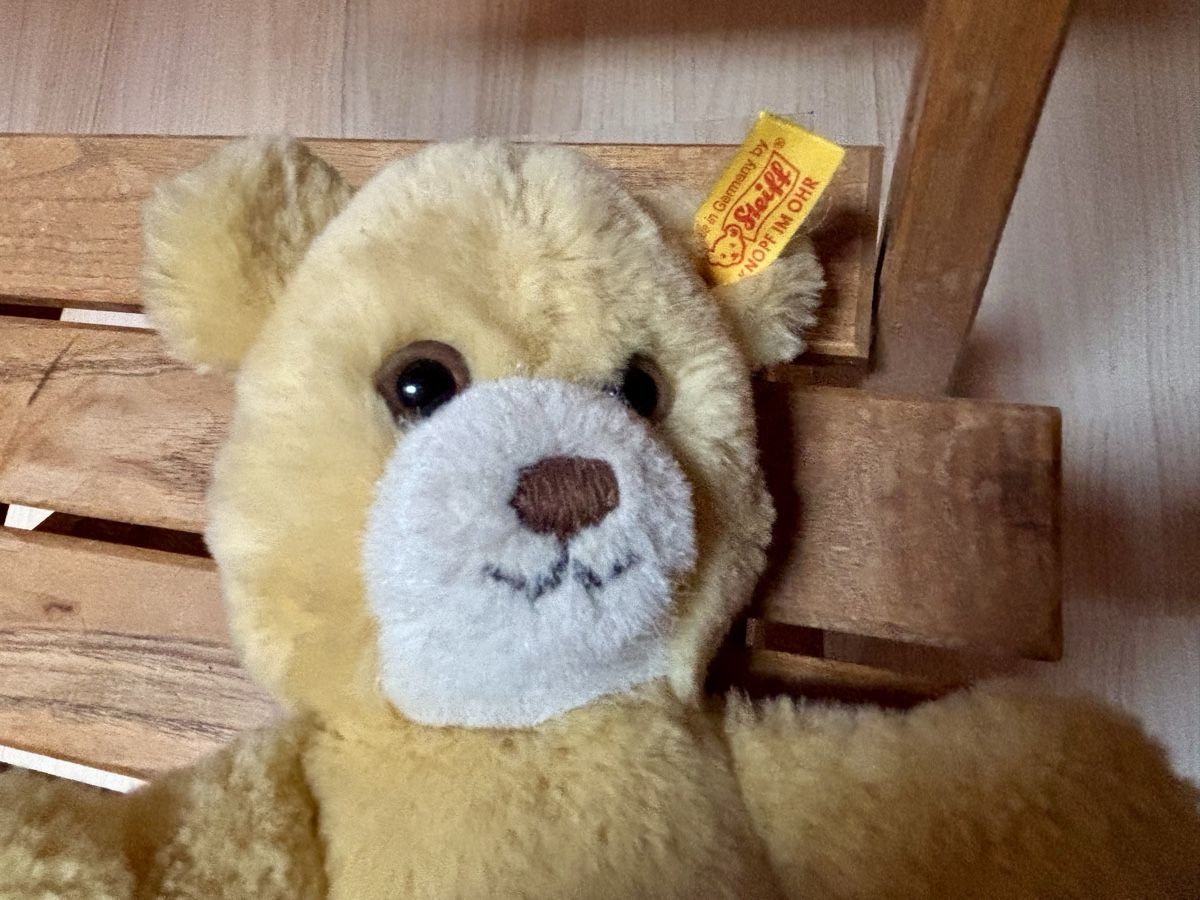 Steiff Giocattoli: Steiff Teddy Bär – Usato da Gündisau venduto da yuma06