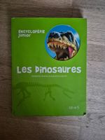 Encyclopédie Junior Les Dinosaures Livre jeunesse